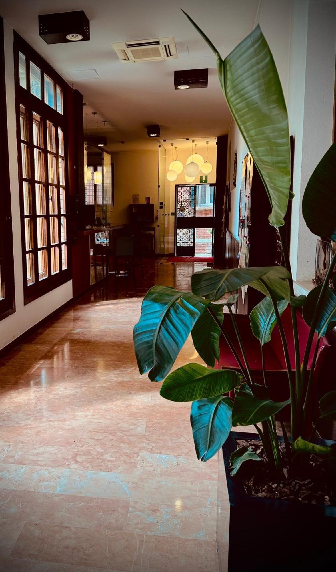 Domus Ciliota 3* Venezia